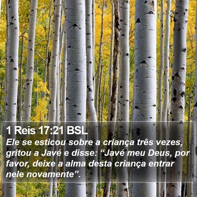 1 Reis 17:21 BSL Bible Verse Image