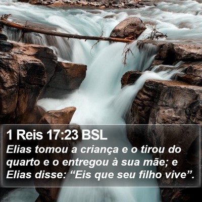 1 Reis 17:23 BSL Bible Verse Image