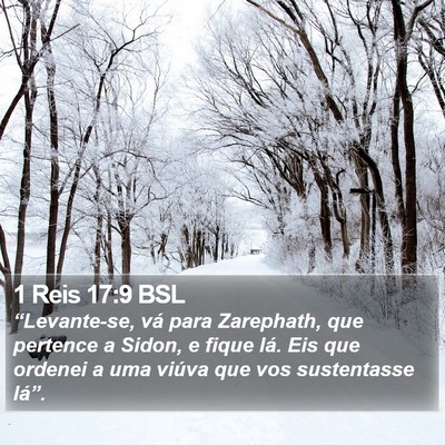 1 Reis 17:9 BSL Bible Verse Image