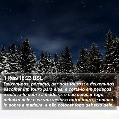 1 Reis 18:23 BSL Bible Verse Image