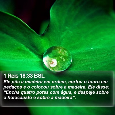 1 Reis 18:33 BSL Bible Verse Image