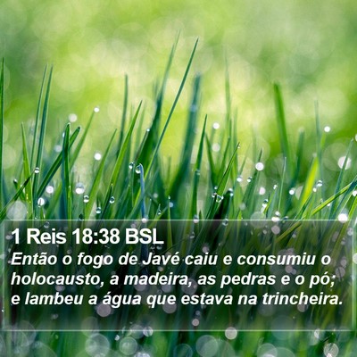 1 Reis 18:38 BSL Bible Verse Image