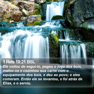 1 Reis 19:21 BSL Bible Verse Image