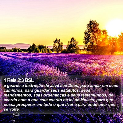 1 Reis 2:3 BSL Bible Verse Image