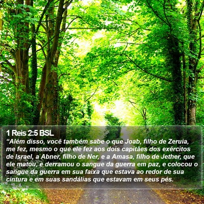 1 Reis 2:5 BSL Bible Verse Image