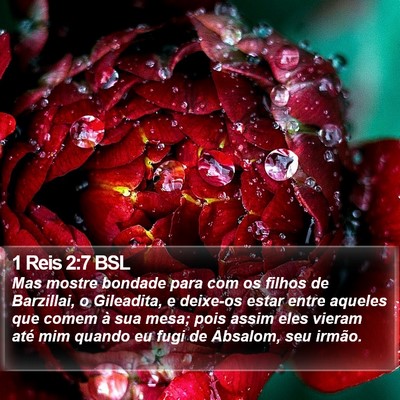 1 Reis 2:7 BSL Bible Verse Image