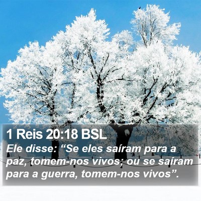 1 Reis 20:18 BSL Bible Verse Image
