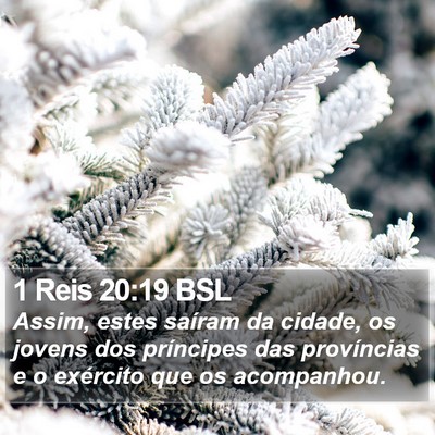 1 Reis 20:19 BSL Bible Verse Image
