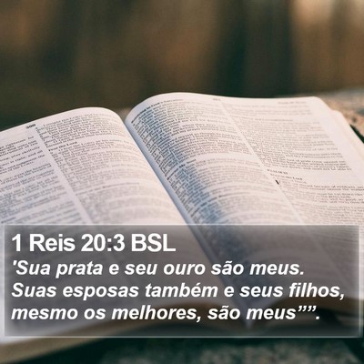 1 Reis 20:3 BSL Bible Verse Image