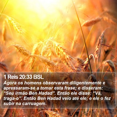 1 Reis 20:33 BSL Bible Verse Image