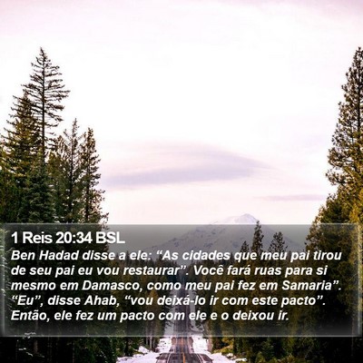 1 Reis 20:34 BSL Bible Verse Image