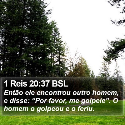 1 Reis 20:37 BSL Bible Verse Image