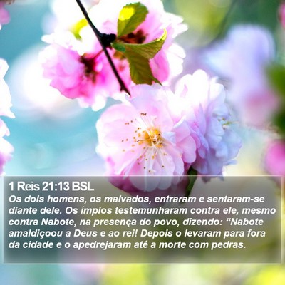 1 Reis 21:13 BSL Bible Verse Image