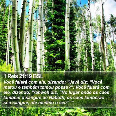 1 Reis 21:19 BSL Bible Verse Image