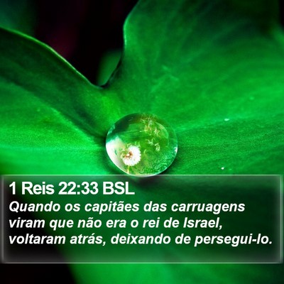 1 Reis 22:33 BSL Bible Verse Image