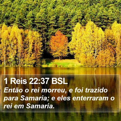 1 Reis 22:37 BSL Bible Verse Image