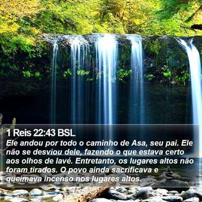 1 Reis 22:43 BSL Bible Verse Image