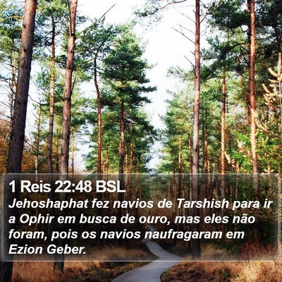 1 Reis 22:48 BSL Bible Verse Image