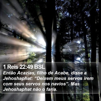 1 Reis 22:49 BSL Bible Verse Image
