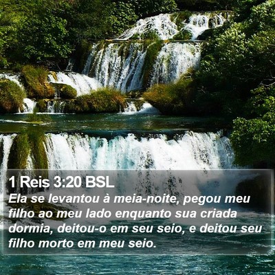 1 Reis 3:20 BSL Bible Verse Image