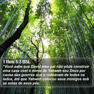 1 Reis 5:3 BSL Bible Verse Image