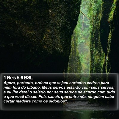 1 Reis 5:6 BSL Bible Verse Image