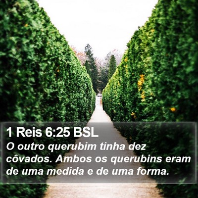 1 Reis 6:25 BSL Bible Verse Image