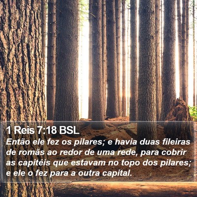 1 Reis 7:18 BSL Bible Verse Image