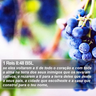 1 Reis 8:48 BSL Bible Verse Image