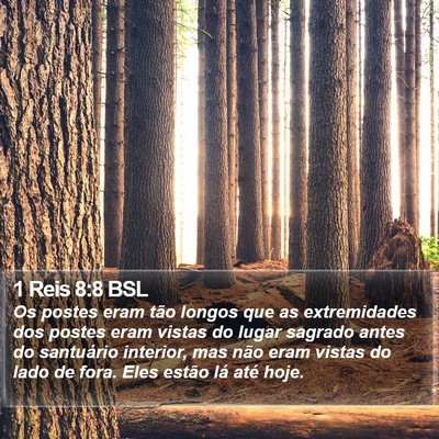1 Reis 8:8 BSL Bible Verse Image