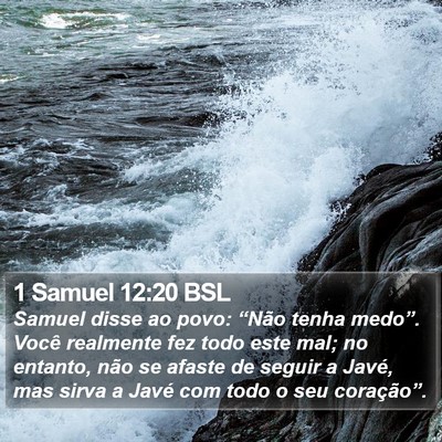 1 Samuel 12:20 BSL Bible Verse Image