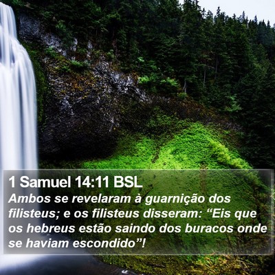 1 Samuel 14:11 BSL Bible Verse Image