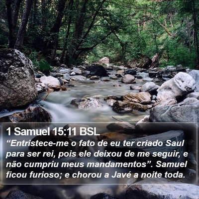 1 Samuel 15:11 BSL Bible Verse Image