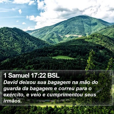 1 Samuel 17:22 BSL Bible Verse Image