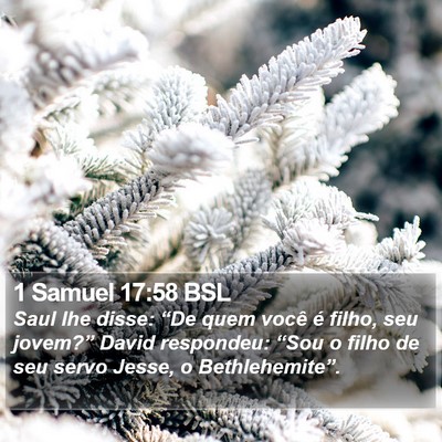 1 Samuel 17:58 BSL Bible Verse Image