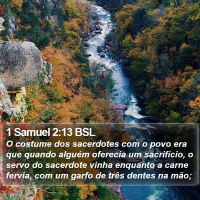 1 Samuel 2:13 BSL Bible Verse Image