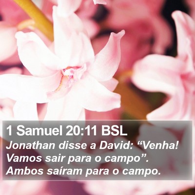 1 Samuel 20:11 BSL Bible Verse Image