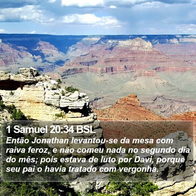 1 Samuel 20:34 BSL Bible Verse Image