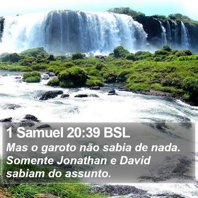 1 Samuel 20:39 BSL Bible Verse Image