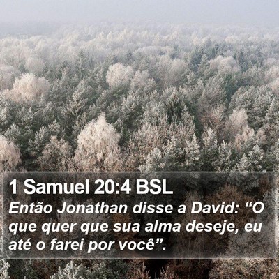 1 Samuel 20:4 BSL Bible Verse Image