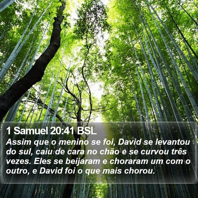 1 Samuel 20:41 BSL Bible Verse Image