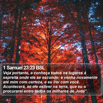 1 Samuel 23:23 BSL Bible Verse Image