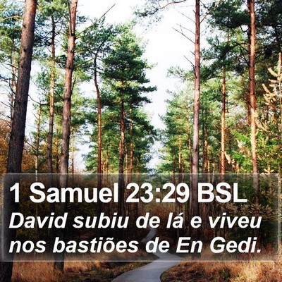 1 Samuel 23:29 BSL Bible Verse Image