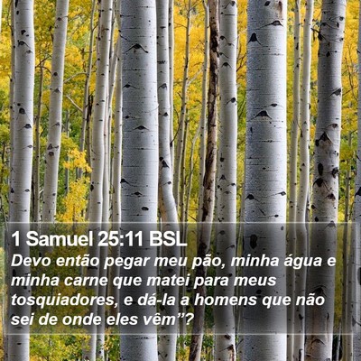 1 Samuel 25:11 BSL Bible Verse Image
