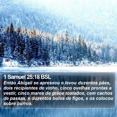 1 Samuel 25:18 BSL Bible Verse Image