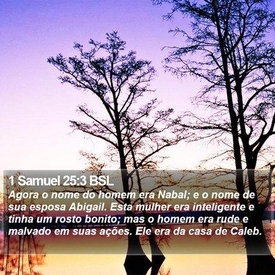 1 Samuel 25:3 BSL Bible Verse Image