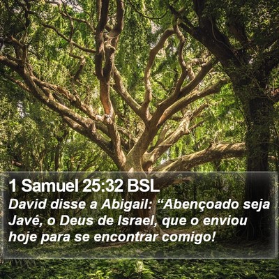 1 Samuel 25:32 BSL Bible Verse Image