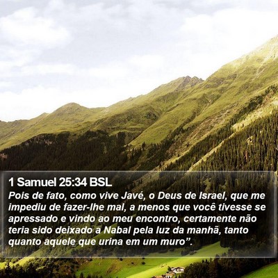 1 Samuel 25:34 BSL Bible Verse Image