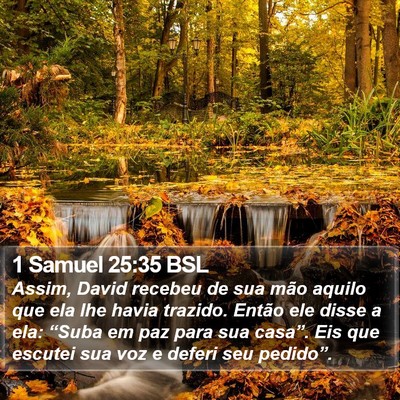 1 Samuel 25:35 BSL Bible Verse Image