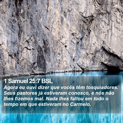 1 Samuel 25:7 BSL Bible Verse Image